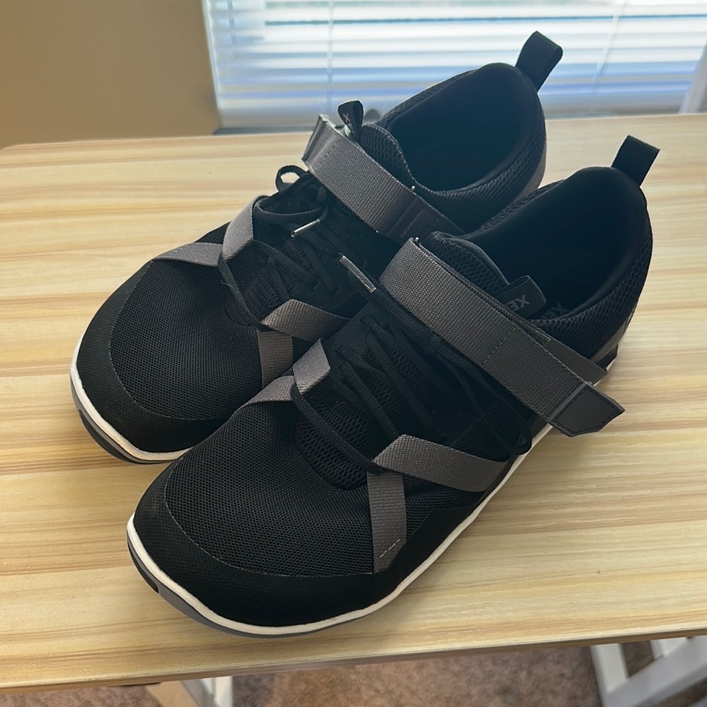 Xero Forza Trainer